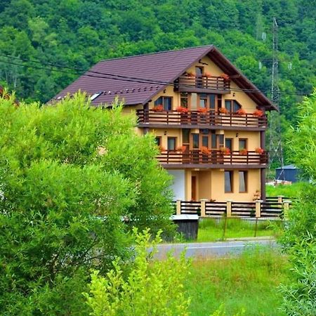 Casa Vadeanu Hotell Sighetu Marmaţiei Eksteriør bilde