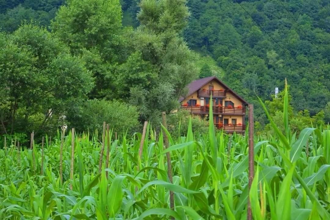 Casa Vadeanu Hotell Sighetu Marmaţiei Eksteriør bilde